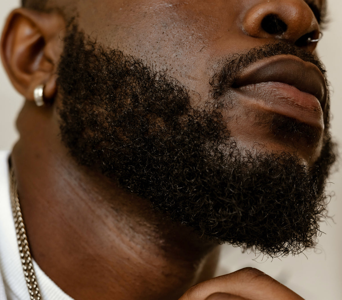 6 Best Beard Oils to Help You Grow a Fuller Beard – Sons of Hollis